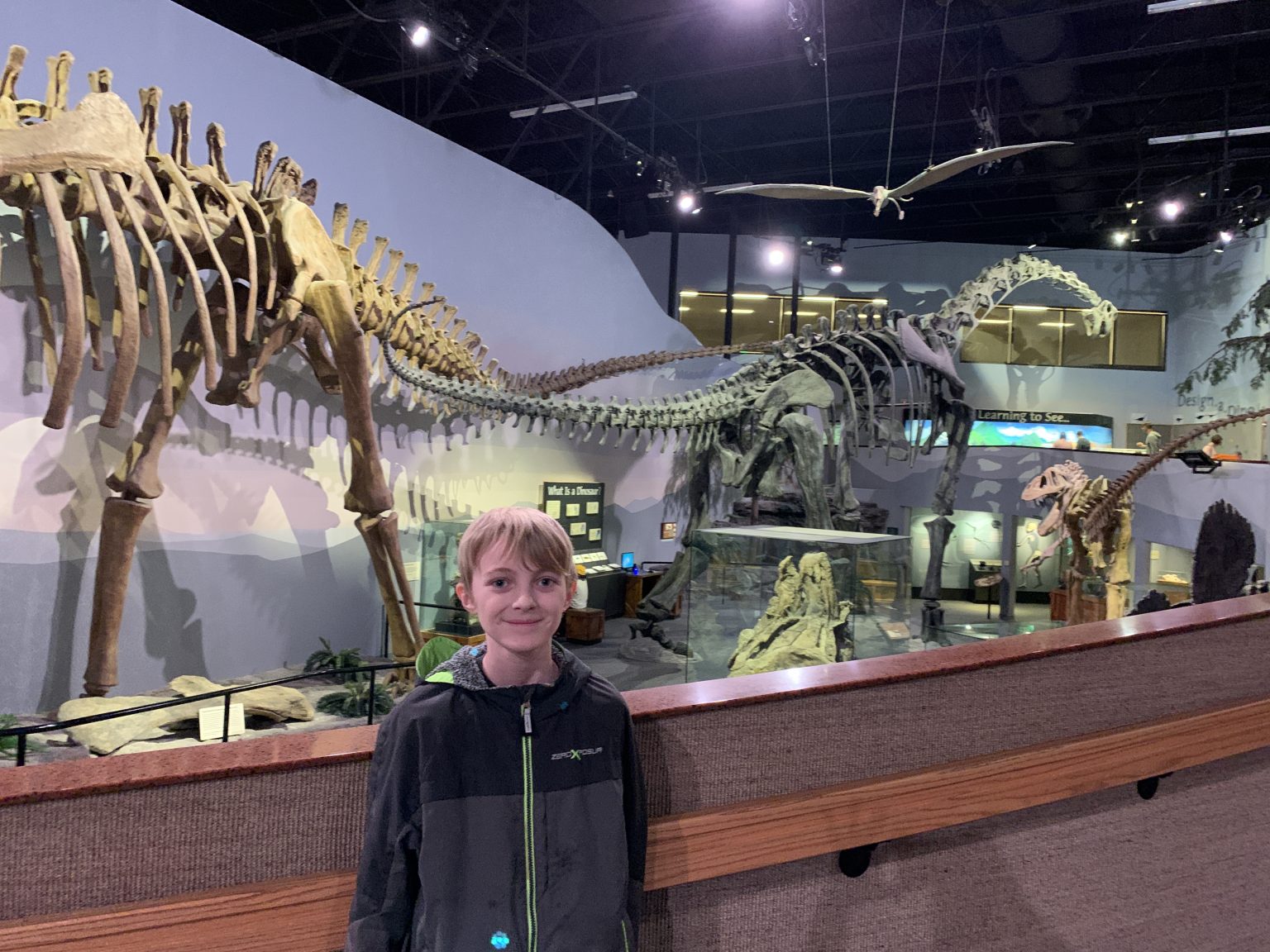 usc dinosaur museum